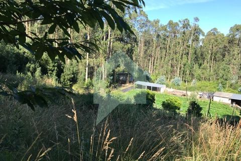 Terra a Guimaraes, Braga, Guimaraes - € 110.000 | Ref: 001413 - foto 4