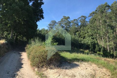 Terra a Guimaraes, Braga, Guimaraes - € 110.000 | Ref: 001413 - foto 6