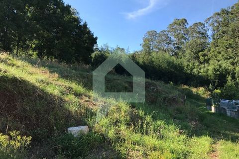 Terra a Guimaraes, Braga, Guimaraes - € 110.000 | Ref: 001413 - foto 9