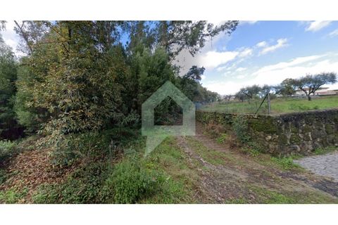 Helårsgrund i Alvito, Beja, Alvito - € 200.000 | Ref: TER_3424 - foto 2