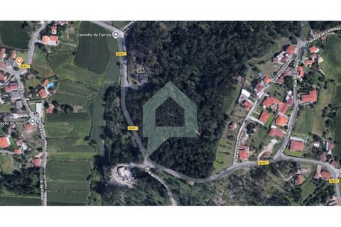 Helårsgrund i Alvito, Beja, Alvito - € 200.000 | Ref: TER_3424 - foto 3