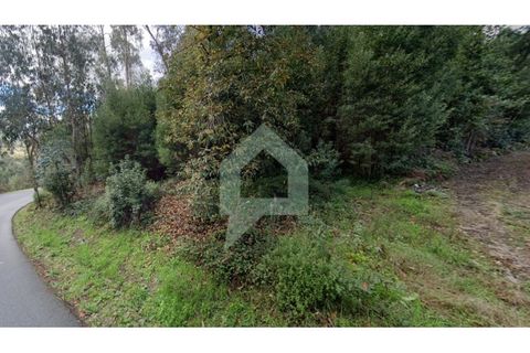 Helårsgrund i Alvito, Beja, Alvito - € 200.000 | Ref: TER_3424 - foto 5