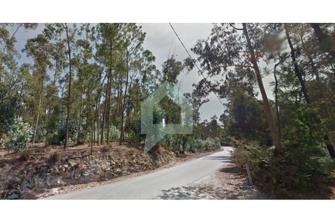 Helårsgrund i Alvito, Beja, Alvito - € 200.000 | Ref: TER_3424 - foto 10