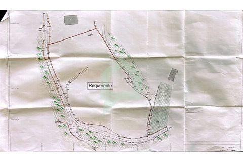 Helårsgrund i Alvito, Beja, Alvito - € 200.000 | Ref: TER_3424 - foto 12