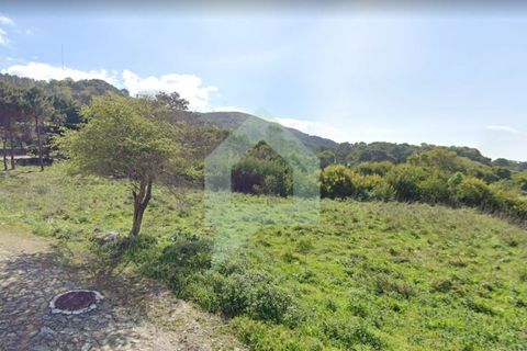 Tomt i Caminha, Viana do Castelo, Caminha - € 100 000 | Ref: SÒL_3116 - foto 2