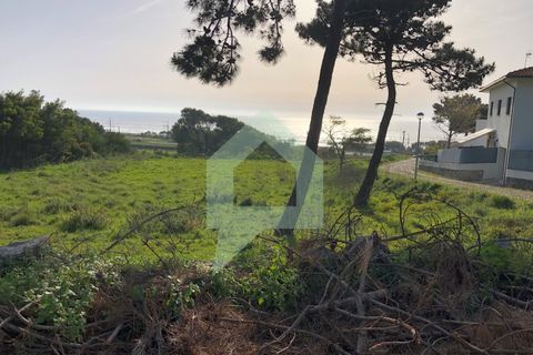Tomt i Caminha, Viana do Castelo, Caminha - € 100 000 | Ref: SÒL_3116 - foto 3