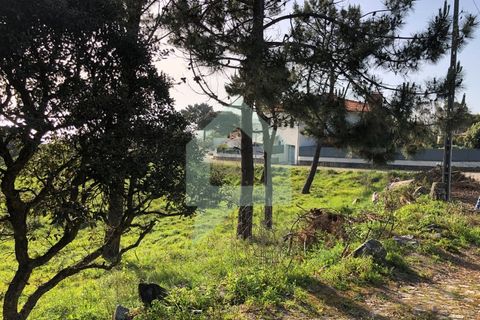 Tomt i Caminha, Viana do Castelo, Caminha - € 100 000 | Ref: SÒL_3116 - foto 6