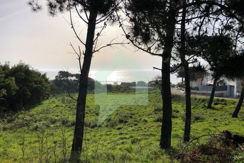 Tomt i Caminha, Viana do Castelo, Caminha - € 100 000 | Ref: SÒL_3116 - foto 7