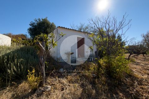 Terra a Estoi, Faro, Estoi - € 120.000 | Ref: 360P-1441 - foto 3