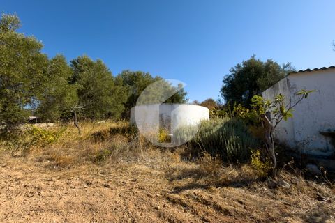 Terra a Estoi, Faro, Estoi - € 120.000 | Ref: 360P-1441 - foto 4