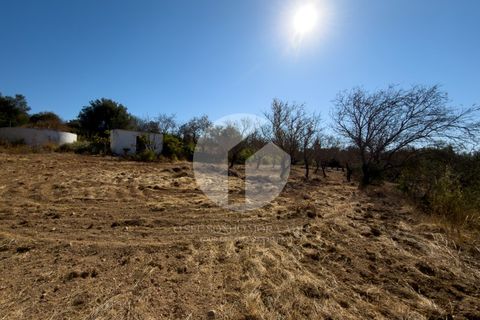 Terra a Estoi, Faro, Estoi - € 120.000 | Ref: 360P-1441 - foto 5
