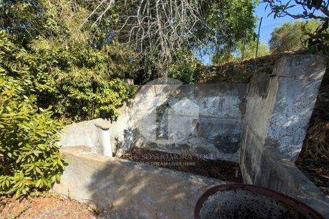Terra a Estoi, Faro, Estoi - € 120.000 | Ref: 360P-1441 - foto 7