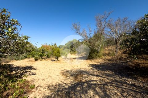 Terra a Estoi, Faro, Estoi - € 120.000 | Ref: 360P-1441 - foto 8