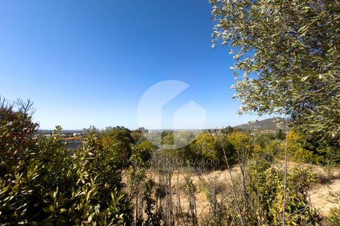 Terra a Estoi, Faro, Estoi - € 120.000 | Ref: 360P-1441 - foto 9