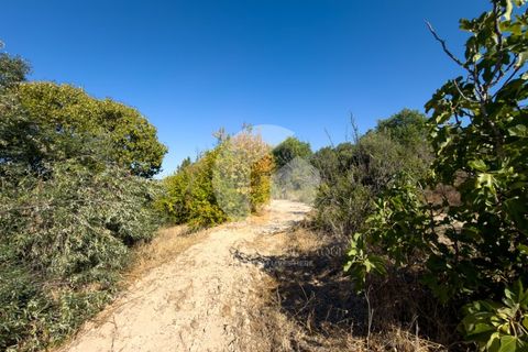 Terra a Estoi, Faro, Estoi - € 120.000 | Ref: 360P-1441 - foto 11
