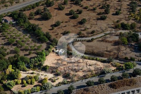 Terra a Estoi, Faro, Estoi - € 120.000 | Ref: 360P-1441 - foto 14