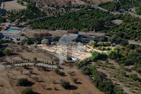 Terra a Estoi, Faro, Estoi - € 120.000 | Ref: 360P-1441 - foto 15
