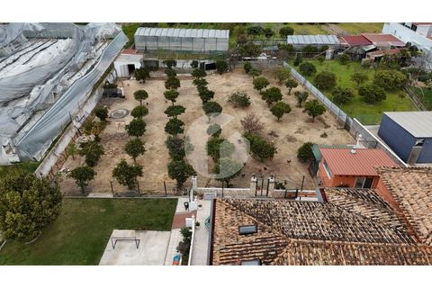 Villa i Faro, Faro, Faro - € 1.325.000 | Ref: 360P-1459 - foto 7