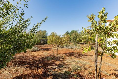 Villa i Paderne, Faro, Paderne - € 870.000 | Ref: City-23-74A - foto 33