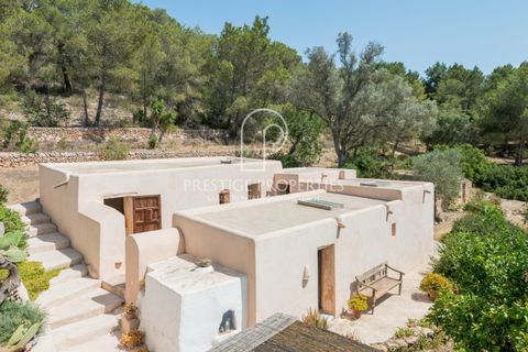 Finca i Jesus, Ibiza, Jesus - € 3.500.000 | Ref: 7831 - foto 7