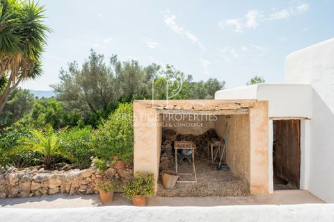 Finca i Jesus, Ibiza, Jesus - € 3.500.000 | Ref: 7831 - foto 24