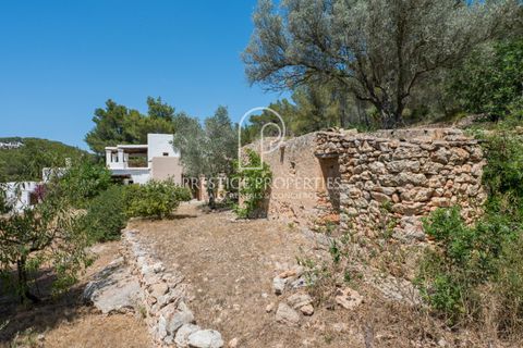 Finca i Jesus, Ibiza, Jesus - € 3.500.000 | Ref: 7831 - foto 27
