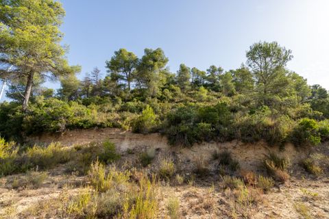 Finca a Caseres, Tarragona, Caseres - € 30.000 | Ref: 377 - foto 16