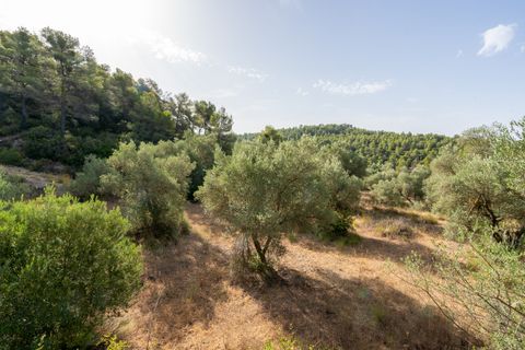Finca a Caseres, Tarragona, Caseres - € 30.000 | Ref: 377 - foto 5