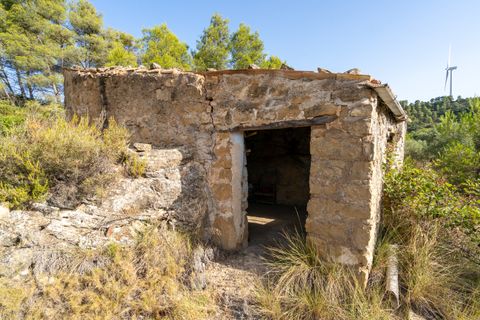 Finca a Caseres, Tarragona, Caseres - € 30.000 | Ref: 377 - foto 2
