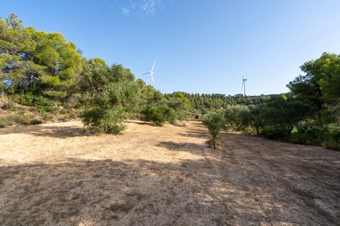 Finca a Caseres, Tarragona, Caseres - € 30.000 | Ref: 377 - foto 8