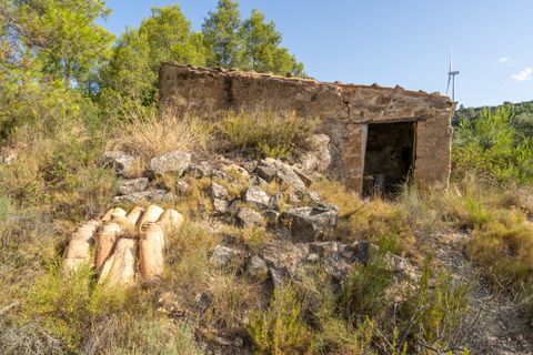 Finca a Caseres, Tarragona, Caseres - € 30.000 | Ref: 377 - foto 1