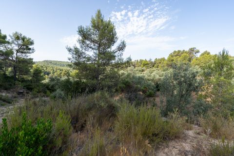 Finca a Caseres, Tarragona, Caseres - € 30.000 | Ref: 377 - foto 6