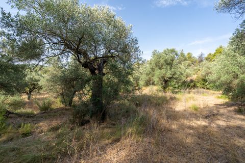 Finca a Caseres, Tarragona, Caseres - € 30.000 | Ref: 377 - foto 20