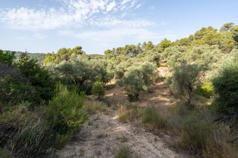 Finca a Caseres, Tarragona, Caseres - € 30.000 | Ref: 377 - foto 19