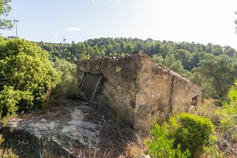 Finca a Caseres, Tarragona, Caseres - € 30.000 | Ref: 377 - foto 12