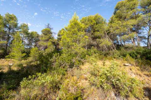 Finca a Caseres, Tarragona, Caseres - € 30.000 | Ref: 377 - foto 18