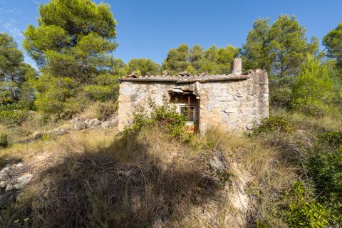 Finca a Caseres, Tarragona, Caseres - € 30.000 | Ref: 377 - foto 3