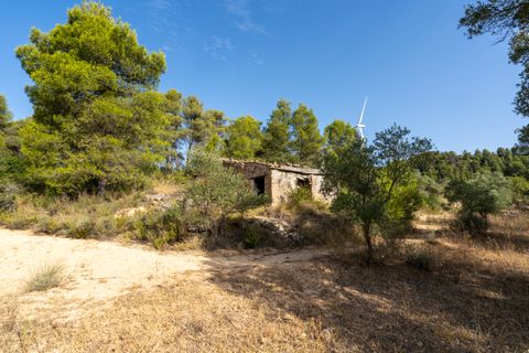 Finca a Caseres, Tarragona, Caseres - € 30.000 | Ref: 377 - foto 13
