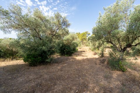 Finca a Caseres, Tarragona, Caseres - € 30.000 | Ref: 377 - foto 14