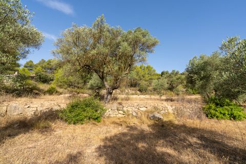 Finca a Caseres, Tarragona, Caseres - € 30.000 | Ref: 377 - foto 17