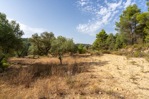 Finca a Caseres, Tarragona, Caseres - € 30.000 | Ref: 377 - foto 7