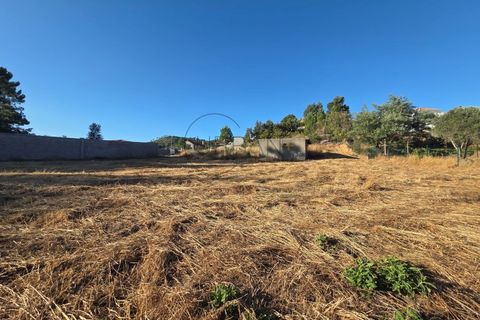 Terra em Cabacos, Viseu, Cabacos - € 18.000 | Ref: 0169 - foto 1