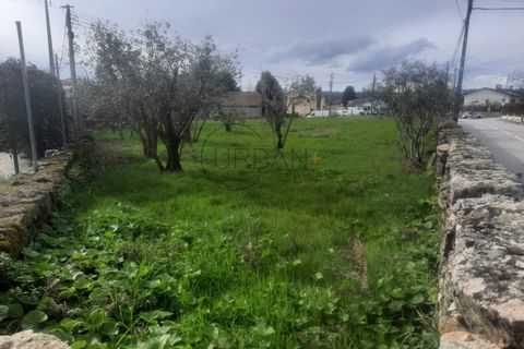 Helårsgrund i Viseu, Viseu, Viseu - € 82.000 | Ref: 0110 - foto 7