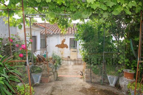 Landejendom i Barbacena e Vila Fernando, Portalegre, Barbacena e Vila Fernando - € 80.000 | Ref: PR 0034 - foto 27