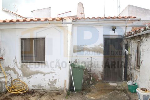 Landejendom i Barbacena e Vila Fernando, Portalegre, Barbacena e Vila Fernando - € 80.000 | Ref: PR 0034 - foto 29