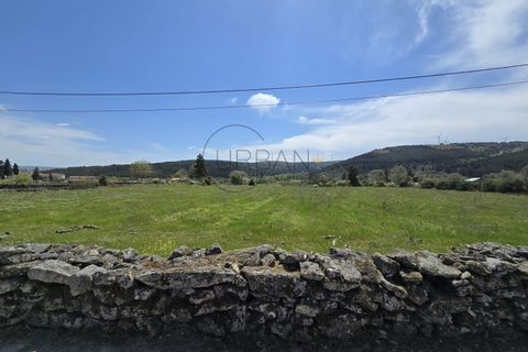 Terra a Moimenta da Beira, Viseu, Moimenta da Beira - € 65.000 | Ref: 0144 - foto 2