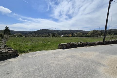 Terra a Moimenta da Beira, Viseu, Moimenta da Beira - € 65.000 | Ref: 0144 - foto 3