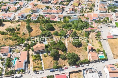 Helårsgrund i Quinta do Anjo, Setubal, Quinta do Anjo - € 400.000 | Ref: W-049XXL - foto 2