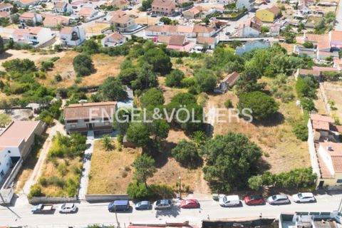 Helårsgrund i Quinta do Anjo, Setubal, Quinta do Anjo - € 400.000 | Ref: W-049XXL - foto 3