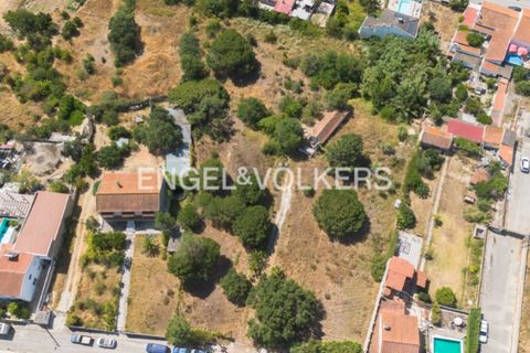 Helårsgrund i Quinta do Anjo, Setubal, Quinta do Anjo - € 400.000 | Ref: W-049XXL - foto 4